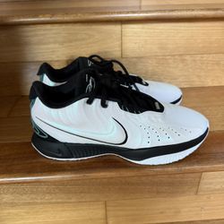 Nike LeBron Shoes Men’s Size 10.5