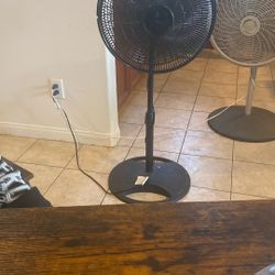 Fan