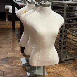 Bust Mannequins 