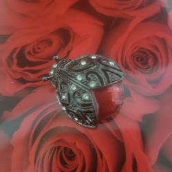 LADY BUG 🐞 BROOCH  /PIN