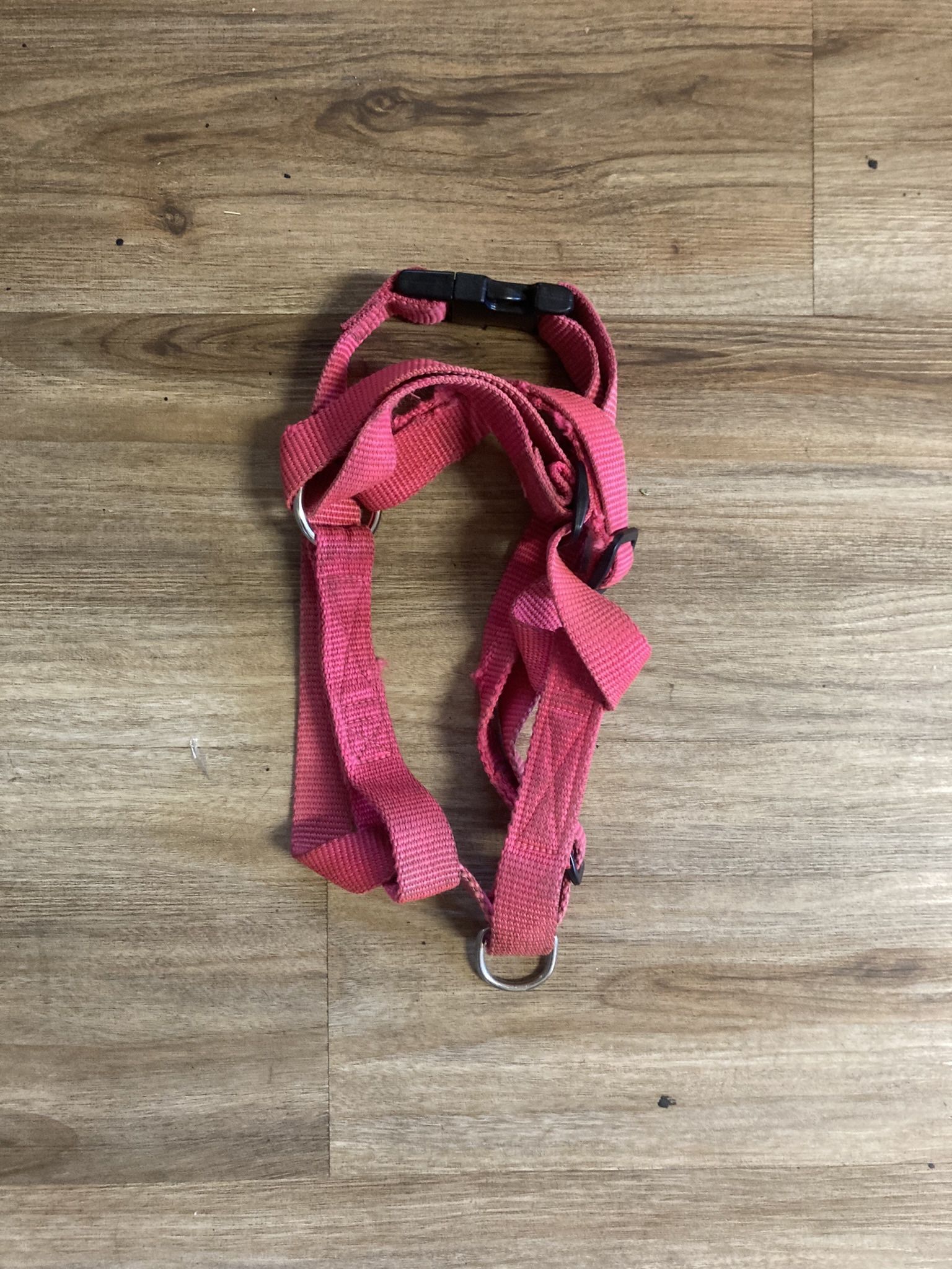 Velcro Fastening Systems Pink Pet Harness