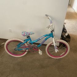 20 Inch Girls Bike