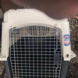 Dog Kennel