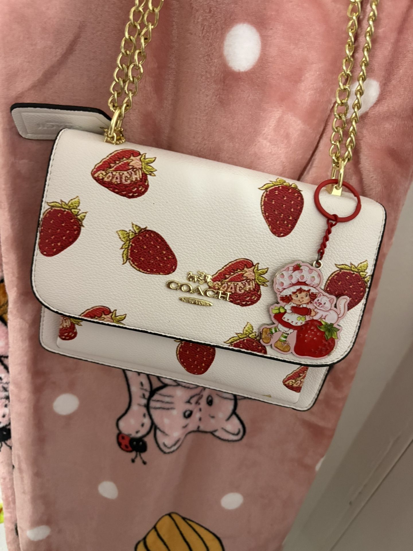 Strawberry Coach Bag