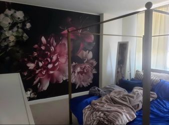 Queen Sized Canopy Bed