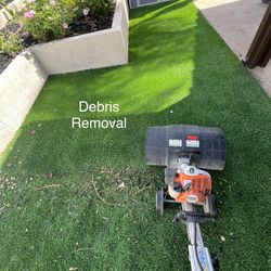 Turf Cleaning / Turf Maintenance / Turf Refresh 