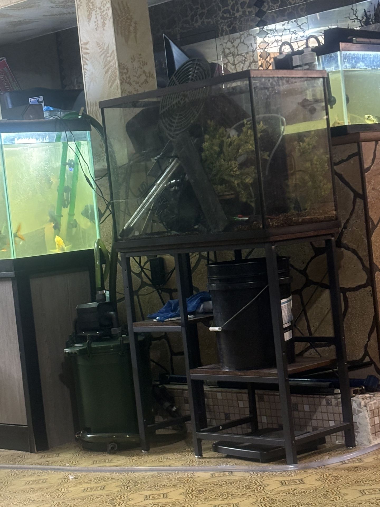 37 Gallon Fish Tank With Stand