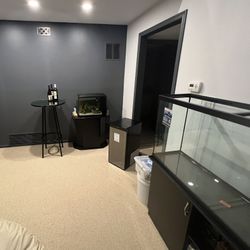 60 Gallon Fish Tank