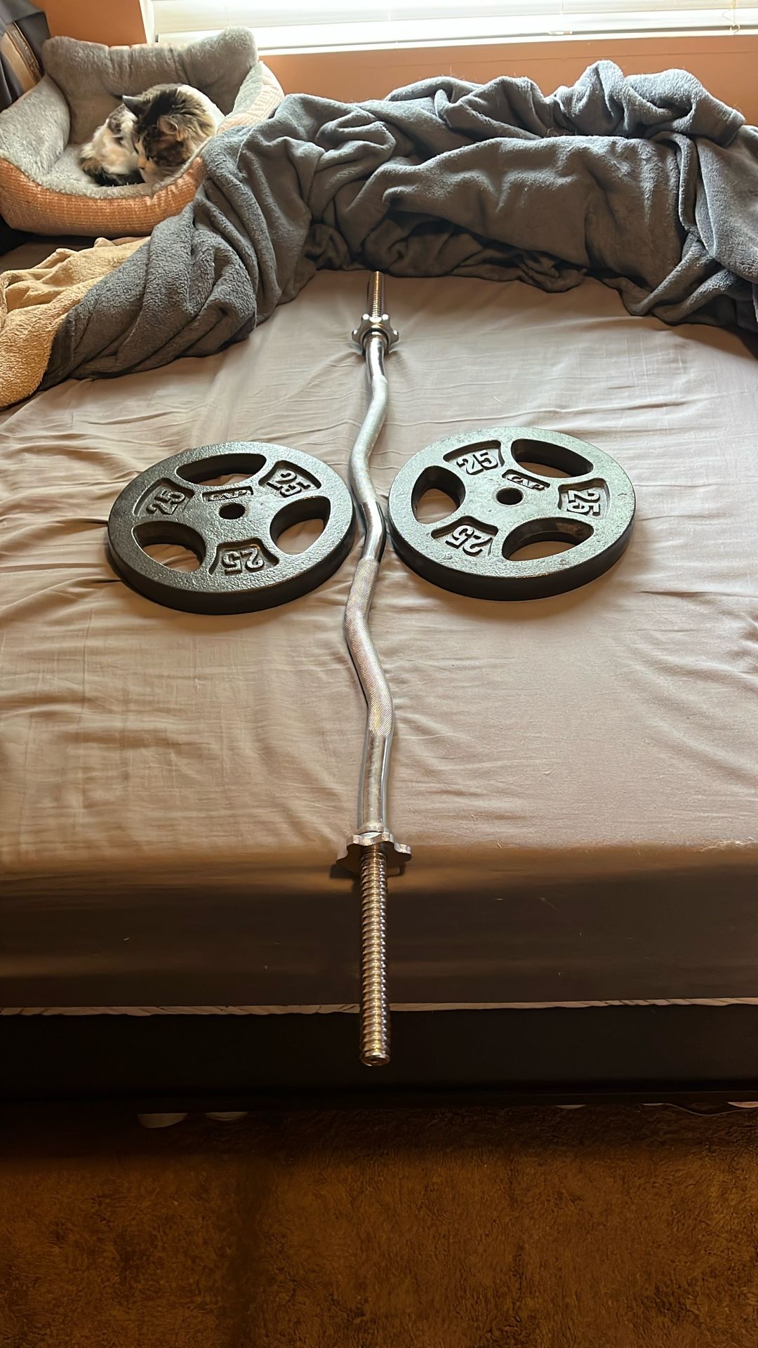 Weights And Curl Bar