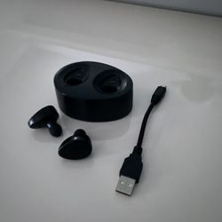 TDK Earbuds
