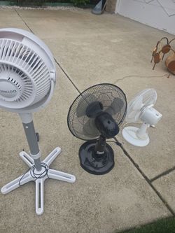 3 fans