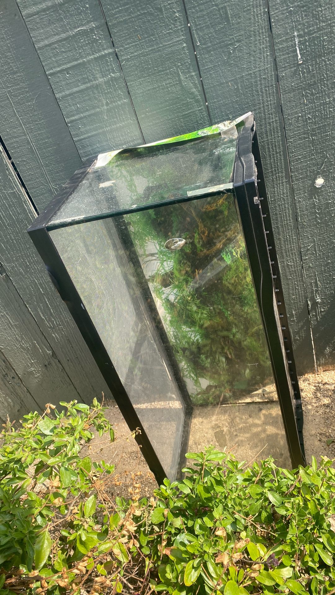 Fish Tank
