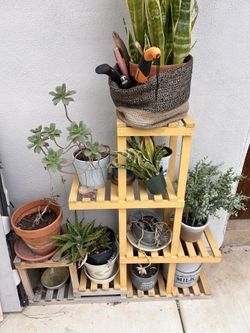 Plant Stand, Some Plants Included