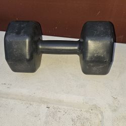 SERIES 8 TEN POUND DUMBELL  GREAT CONDITION