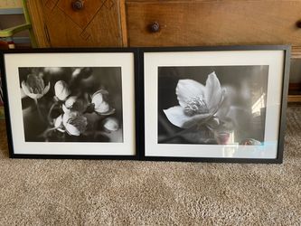 Set of 2 Framed Black and White Floral Prints
