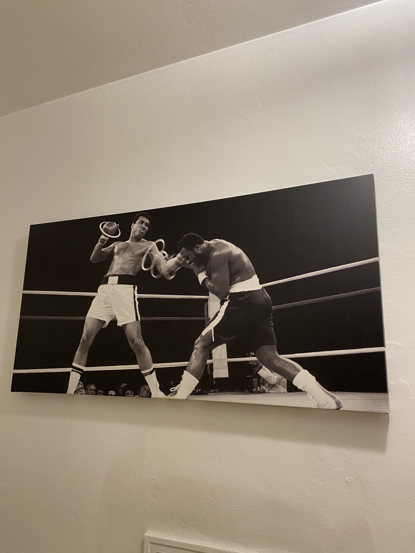 Mohammed Ali Canvas