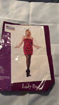 Lady Bug Costume