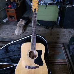 Madeira Acoustic 74  