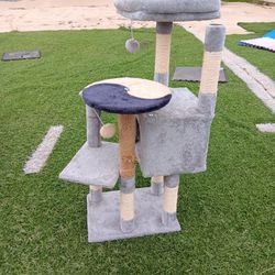 Cat Tree