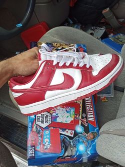 Nike dunk low size 7