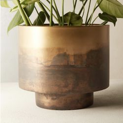 Sahara Brass Planter CB2