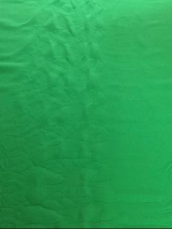 Green Screen Mat (Length 14 feet And 9 inches, Width 4 feet And 11 inches)
