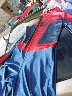 Spider Man Adult