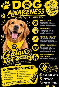 Grooming table