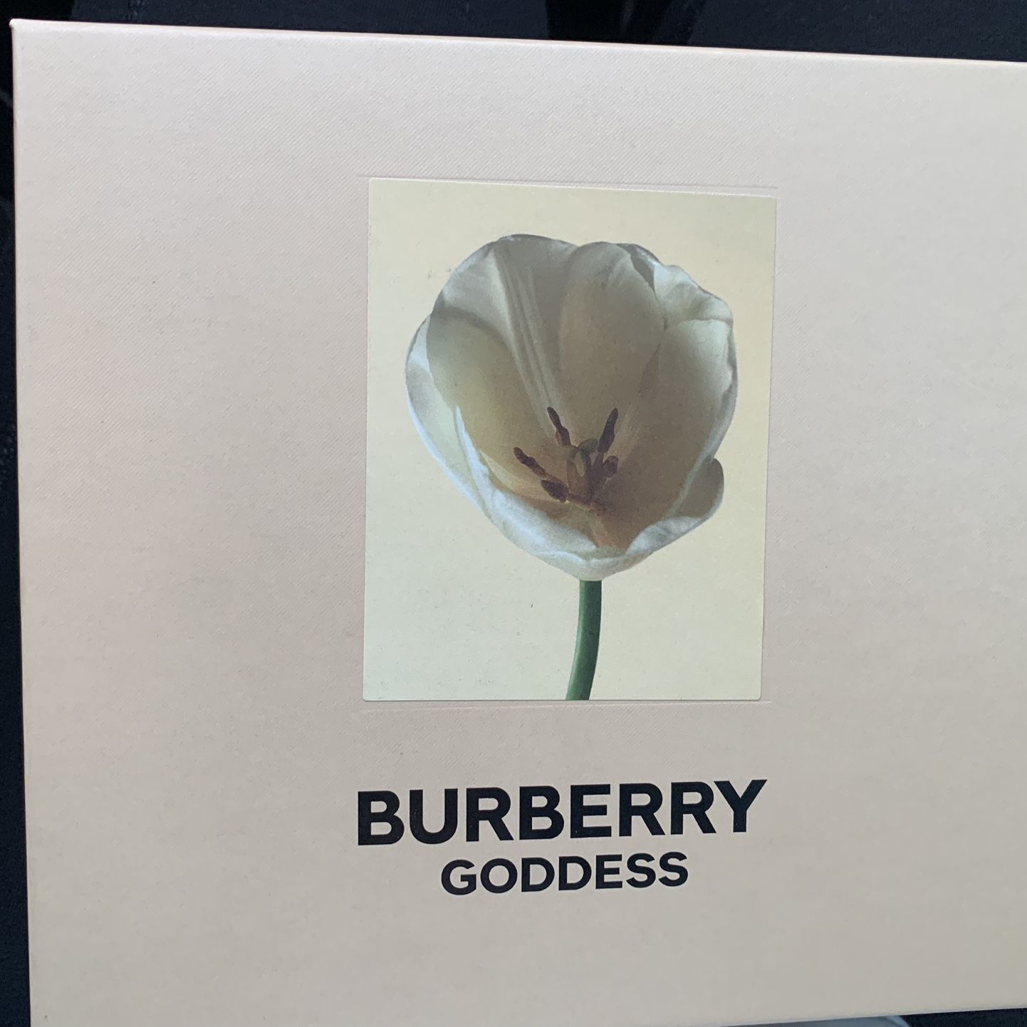 Women’s Burberry Goddess 