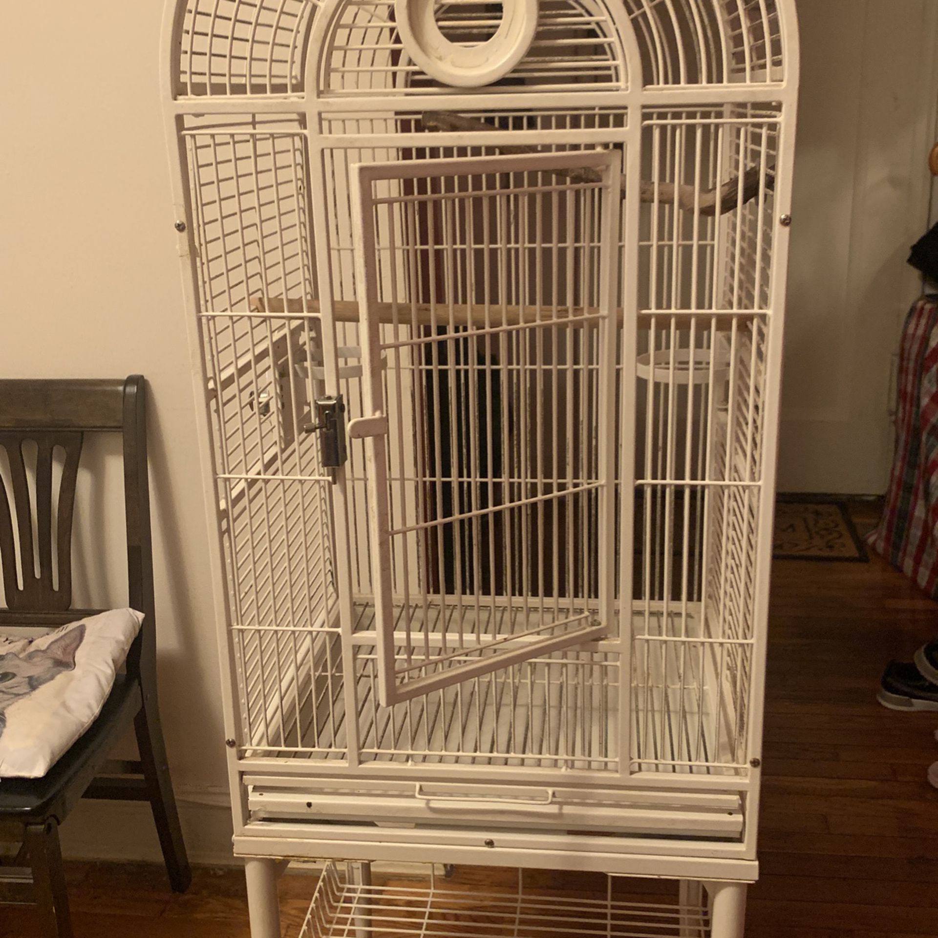 Cage For Bird  