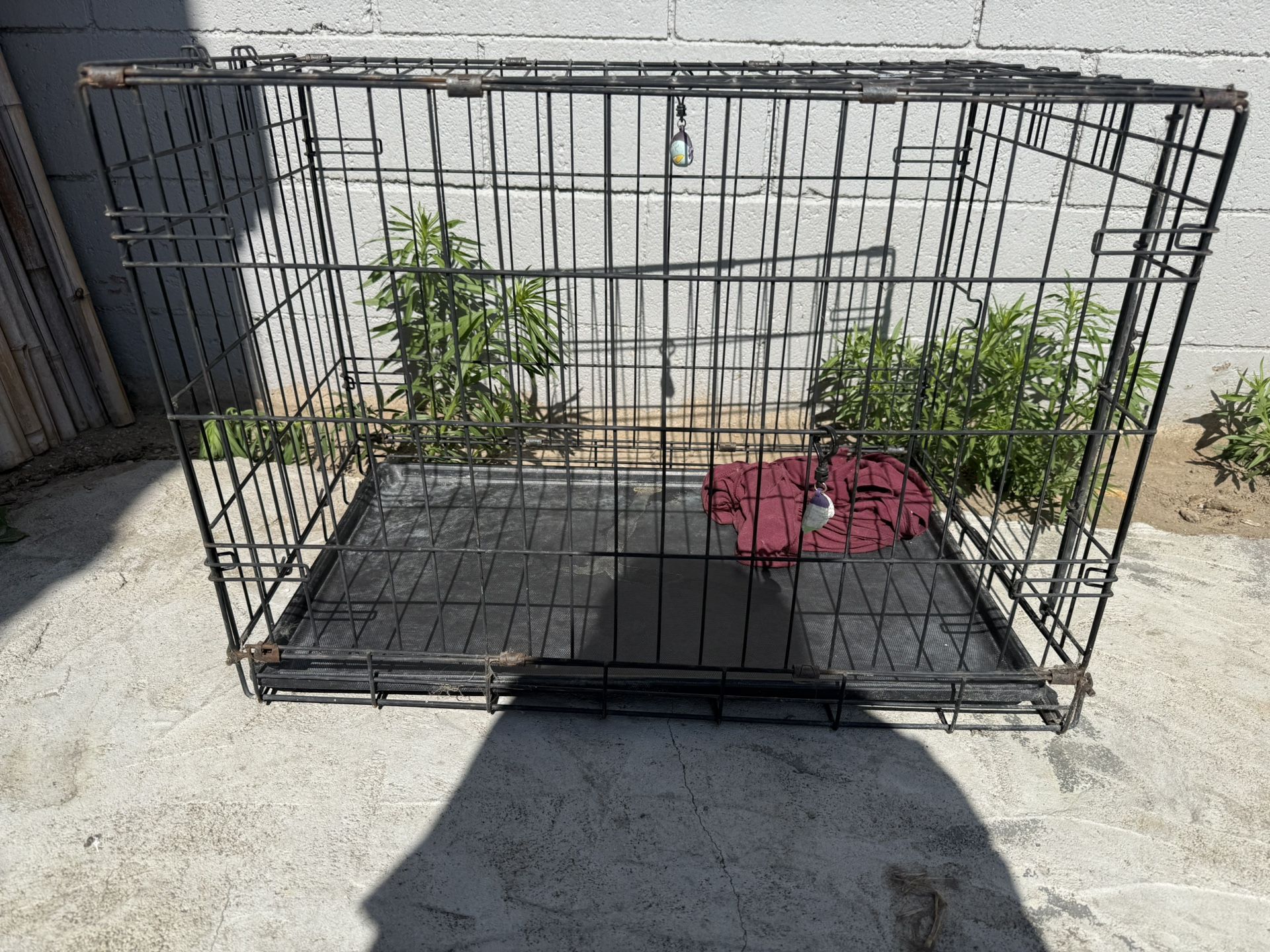 Dogs Kennel