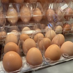Organic Eggs 
