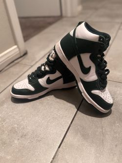 Nike dunk high tops