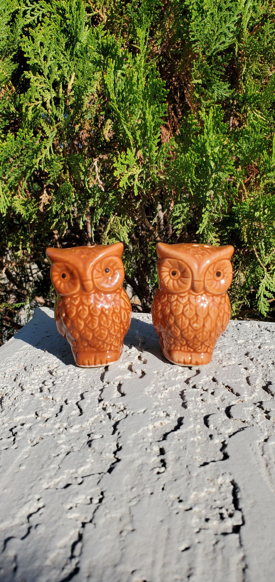 New Owl Ceramic Salt and Pepper Shakers
