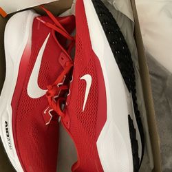 Nike Pegasus 41 Size 11 Men