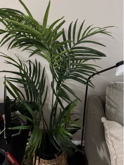 Fake plant