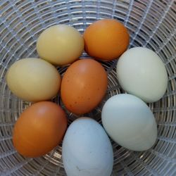 Farm Fresh Eggs - only 1-4 days old