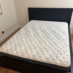 Pressuresmart firm mattress queen size (orig price 1000+)