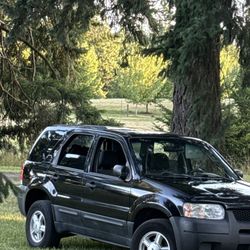 2004 Ford Escape