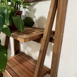 Wood Stand Indoor