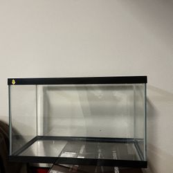 10 Gallon Fish Tank