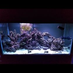 90 Gal Saltwater Aquarium System 