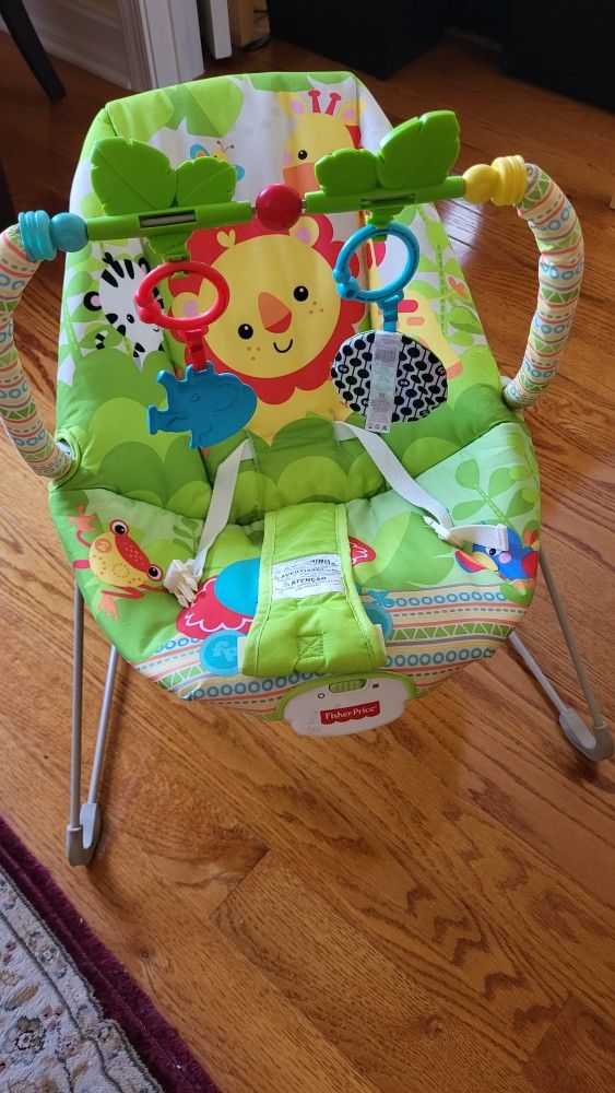 Fisher Price Baby Bouncer