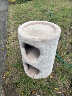 2 Level Cat Condo