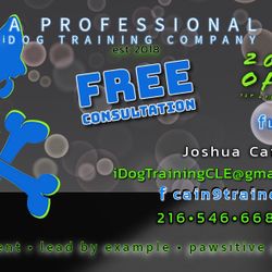 Professional Dog Training 