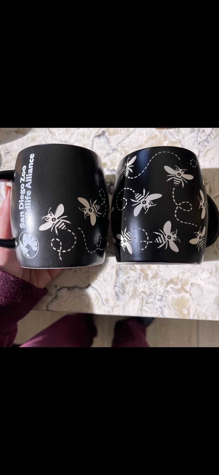 San Diego Zoo Bee Mug Set And Bee Shot Glasses