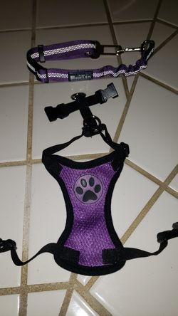 xxxs dog harness