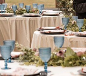 18 beautiful blush peach color satin tablecloths 60x102 inches