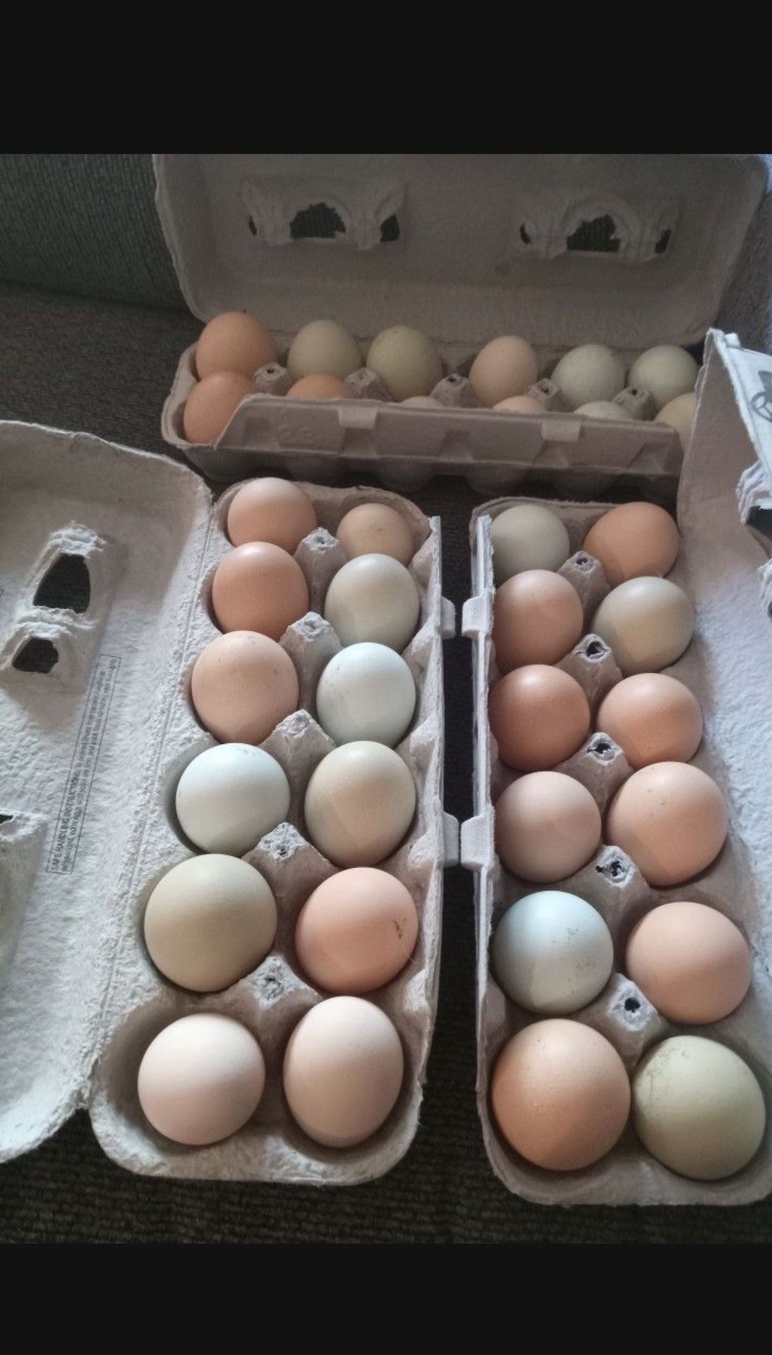 Organic Cage Free Chicken Eggs