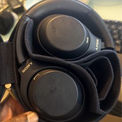 Sony Headphone In Case 